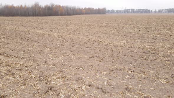 Empty Plowed Field in Autumn Aerial View