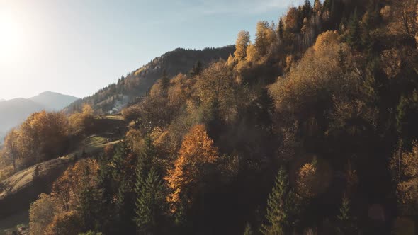 Mountain Village at Sun Autumn Forest Aerial