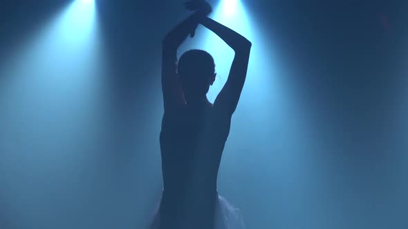 Graceful Ballerina in Tutu Dancing Elements of Classical Ballet