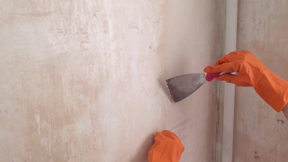 Woman Removing Old Wallpaper From Walls Preparing for Flat Renovation