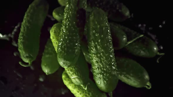 Super Slow Motion Fresh Cucumbers Rise Up