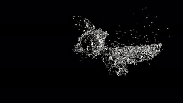 Water Splash Super on Black Slow Motion 1000 Fps