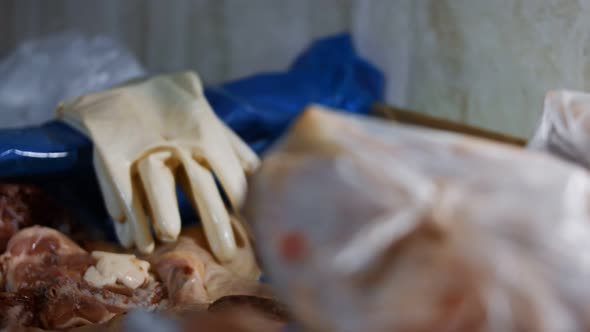 Closeup View of a Pair of Used Gloves Laying on a Box with Frozen Chicken Legs