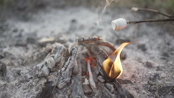 Roasting Marshmallows Over Bonfire on the Beach at Sunset