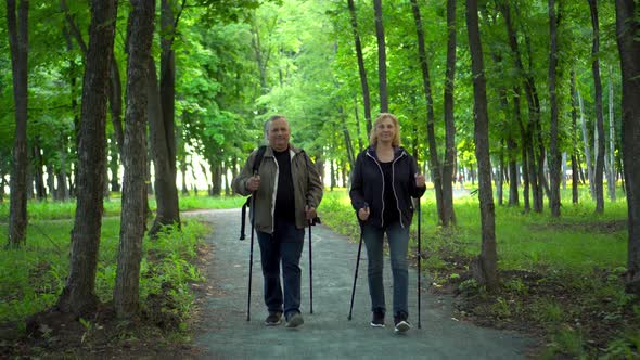 An Elderly Couple is Engaged in Nordic Walking in the Forest