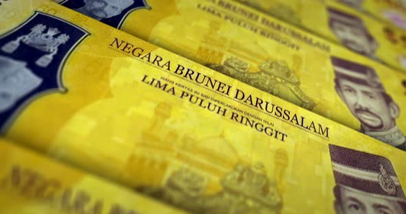 Brunei dollar money banknote surface loop