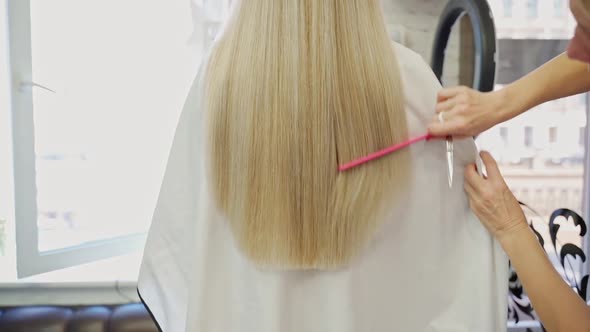 Hairdresser Cutting Long Female Beautiful Hair