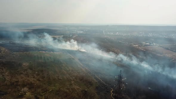 A Strip of Dry Grass Sets Fire to Trees in Dry Forest Forest Fire  Aerial Drone Top View