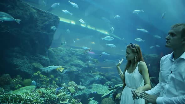 The Guy and the Girl are Delighted By Different Fishes Floating in an Underground Aquarium