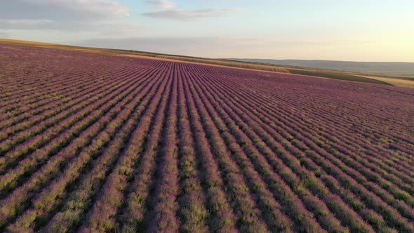 Aerial Nature Landscape Video