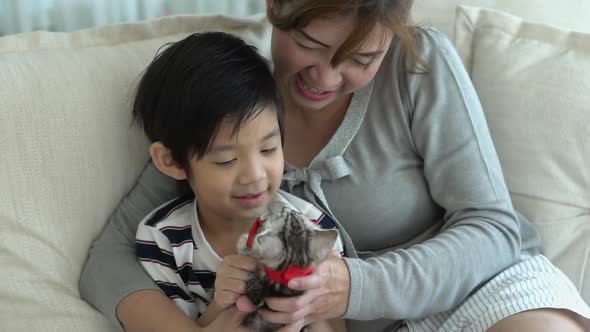 Asian Family Playing With Kitten On Sofa At Home Slow Motion 