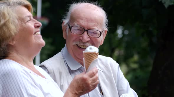 Grandpa and Grandma are Sitting on a Bench in a Park in New York USA