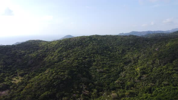 Cinematic aerial flight over greened mountains in Nui Chua National Park,Vietnam