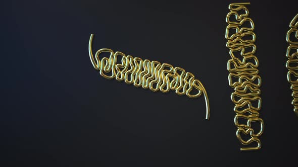 Gold Bending Wires Form DESIGN Word alt