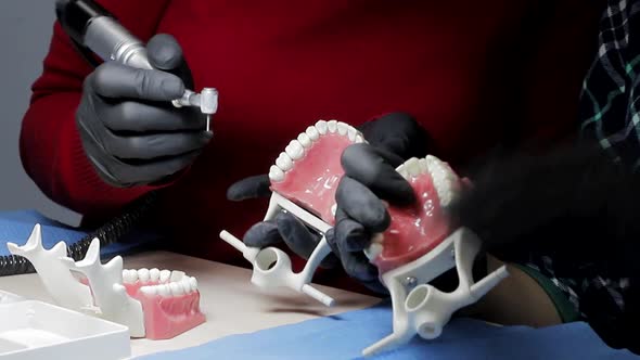 Dentist in Black Gloves Close-up of on a Mock-up of a Skeleton of Teeth Using a Drill Machine. the