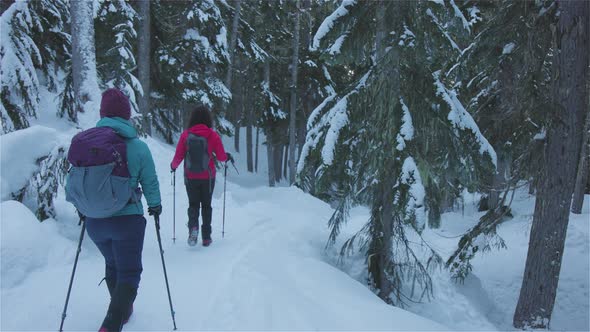 Adventure Girl Friends Hiking in Canadian Mountain Nature