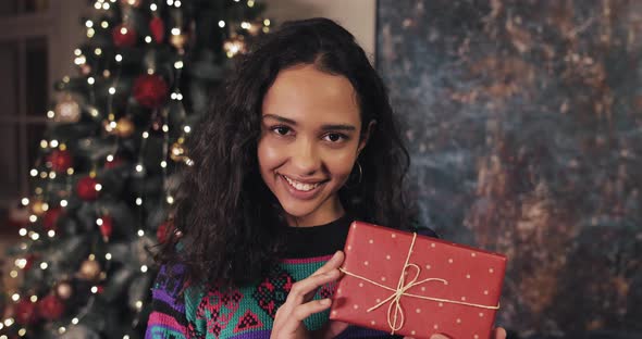 Portrait of Attractive Woman with Beaming Smile, Standing Near Christmas Tree, Holding Present Box