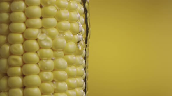 Drop of Thick Viscous Honey or Oil Flows Down Rows of Ripe Yellow Corn in an Upright Position