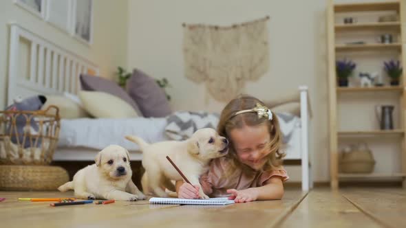 Little Girl Drawing with Pencils Near Puppies