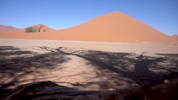 Reveal Slomo of a Large Dune in Sossusvlei, Namibia, with Hot Weather and Blue Sky