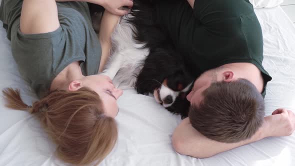 Husband and Wife are Lying in a White Bed with a Beautiful Fluffy Dog with Big Ears Under the