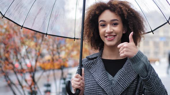 African Happy Successful Girl Curly Multiracial Woman Holding Transparent Umbrella Posing in Autumn