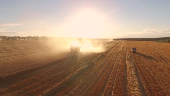 Field, Combine and Trucks.