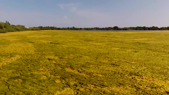 Areal Overtake Low Shot Of Stunning Natural Oroklini Lake, Larnaca City , Cyprus