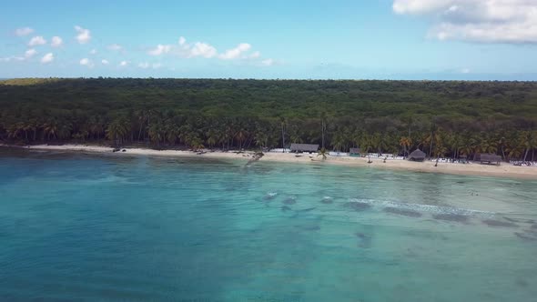 4k 24fps Palms Tree In The Saona Island With Drone Dominican Republic 3