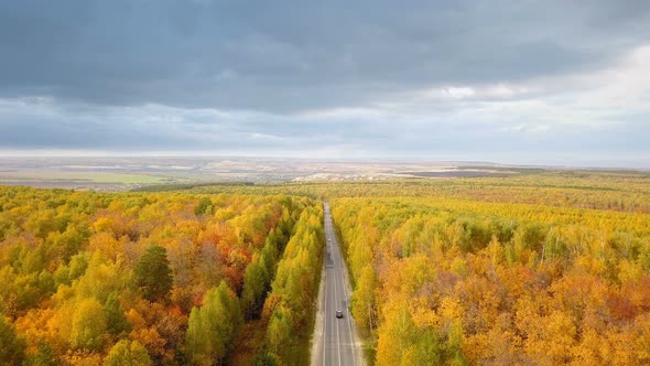 Autumn Road