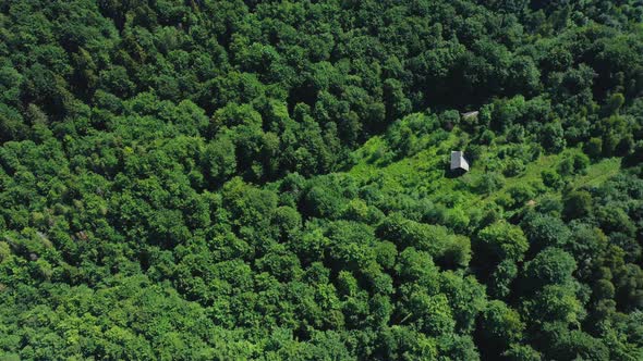 Aerial View of Lodge Environment of Mixed Green Forest Treetops on a Summer Day