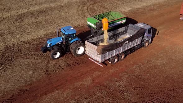 Tractor Dumping Soybean Seeds in Truck