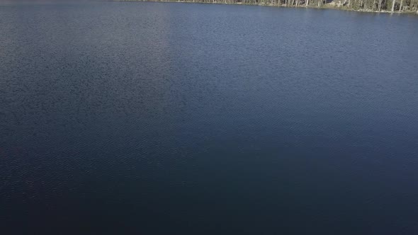 Aerial Drone Shot of Lake in Yosemite National Park with Forest Reveal