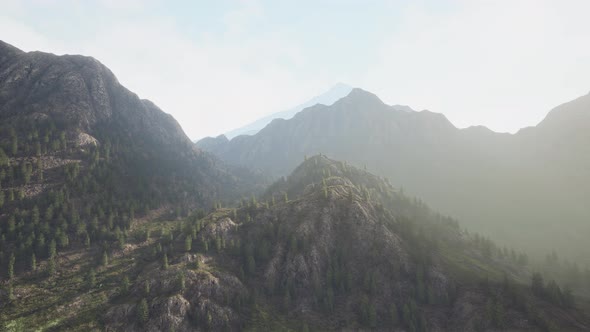 Mountain Range with Valley and Forest