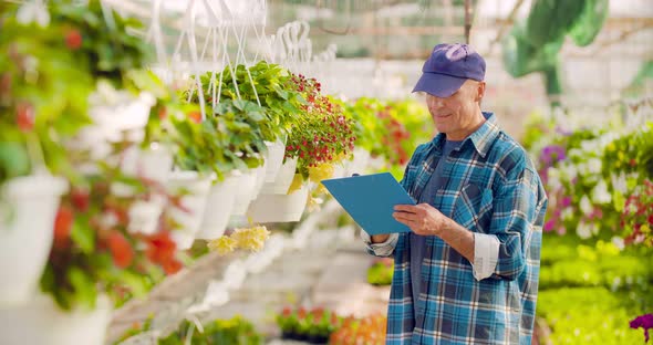 Confident Male Gardener Examining Potted Flower Plant