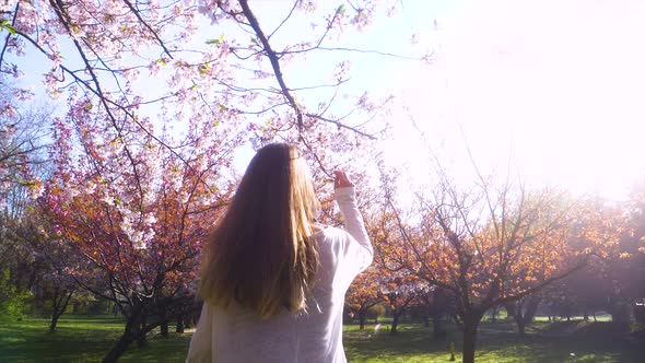 Girl walking in Japanese Garden with blooming trees. Young woman with long hair enjoys spring