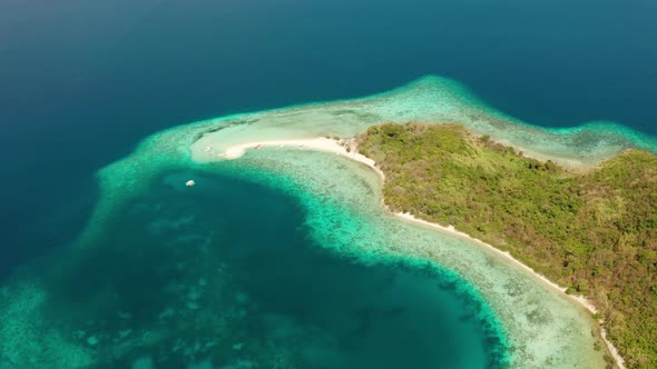 Tropical Island with Sandy Beach Philippines Palawan