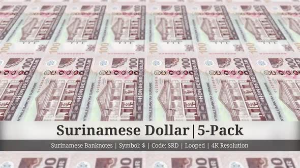 Surinamese Dollar | Suriname Currency - 5 Pack | 4K Resolution | Looped