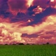 4K green field and cloudy sky - VideoHive Item for Sale