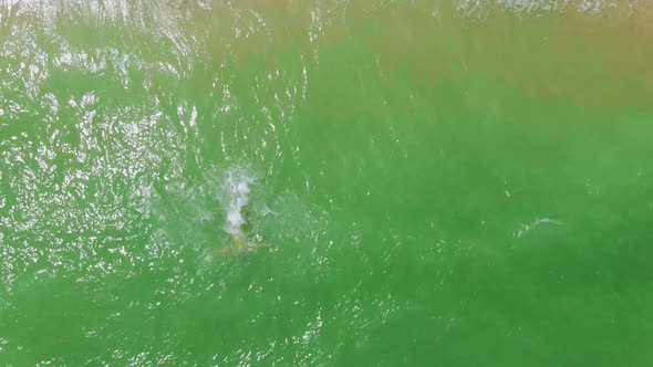 Slow Motion Drone Footage Woman in Yellow Bikini Going Into the Sea