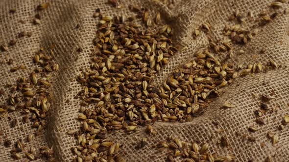 Rotating shot of barley and other beer brewing ingredients - BEER BREWING 230