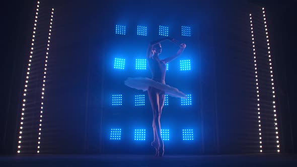 Pretty Ballet Dancer Gracefully Dancing. Ballet Rehearsal Before the Performance. Ballerina Does