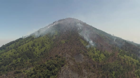 Forest Fire in the Mountains