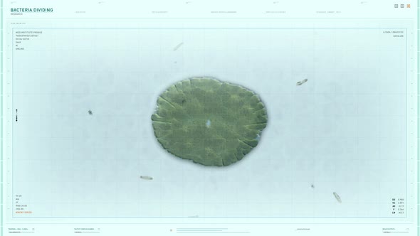 Analysis of the Cell Division Mitosis process for scientific biology research alt