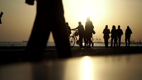 Walking In The Sunset