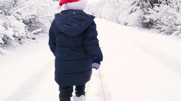 A Boy in Winter Clothes and a Santa Claus Hat Rolls a Sled on the Way