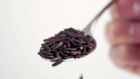 Black wild berry jasmine rice in spoon. Falling dry uncooked grains in slow motion