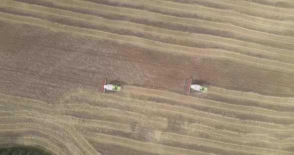 Aerial View Harvesting Machines Drive Along Wheat Field