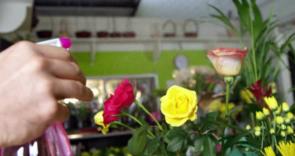 Florist spraying water on flowers in flower shop