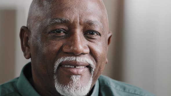 Portrait Close Clever Serious Pensive Male Wrinkled Face with Gray Beard Bald African Old Senior